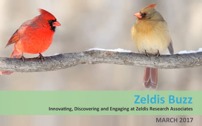 Zeldis Buzz – March 2017