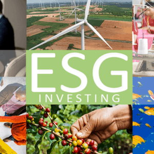 Zeldis ESG Investing Research