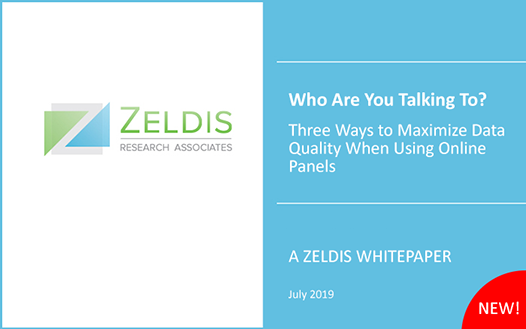 New Whitepaper – Maximizing Data Quality When Using Online Panels