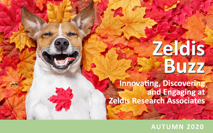 Fall Buzz: Telemedicine for Behavioral Health, Story Telling, Webcam Focus Groups, Moderating Tips and More