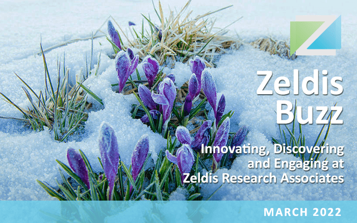Zeldis Winter Buzz: New FinTech Study, Behavioral Health Teletherapy, Retirement Redefined Segmentation Analysis and More